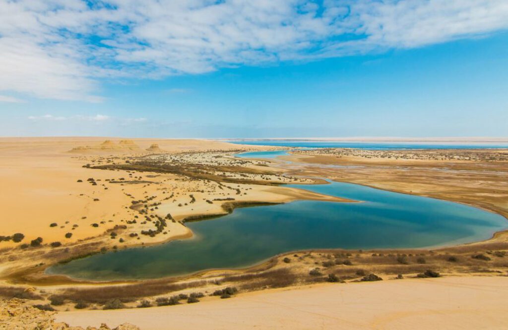 fayoum oasis