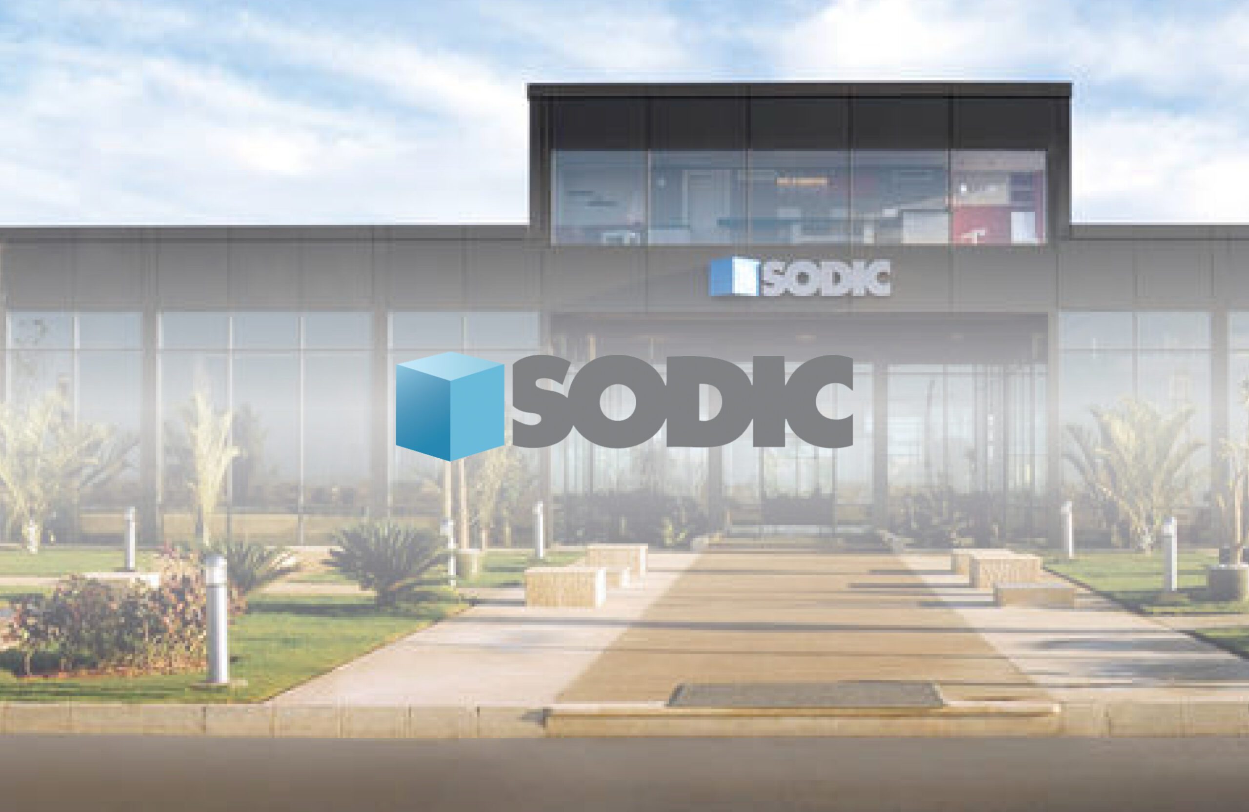 Sodic