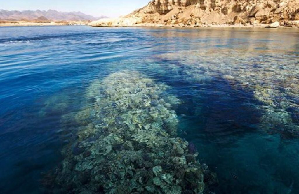 stunning sea view of Ras Mohamed 